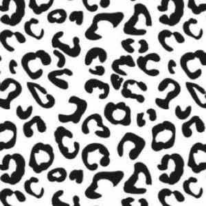 Meet your Posher, Belle